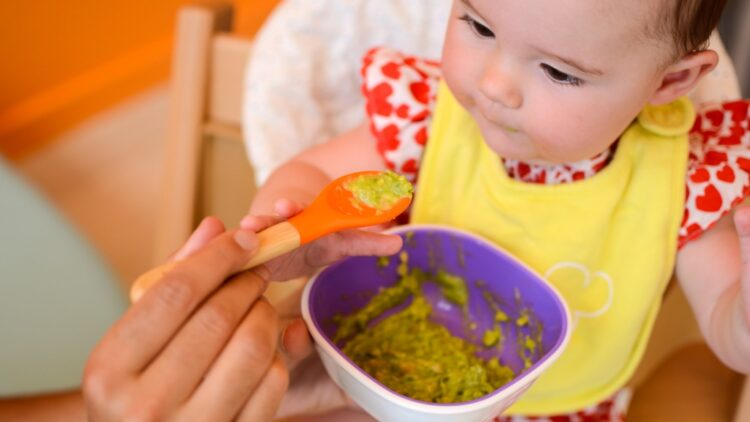 Meal plan ideas for one-year-old